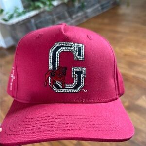 Travis Scott x Mitchell & Ness x UGA collaboration Hat